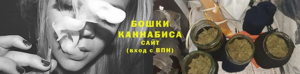 ПСИЛОЦИБИНОВЫЕ ГРИБЫ Елабуга