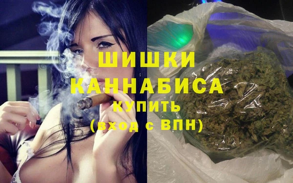 ПСИЛОЦИБИНОВЫЕ ГРИБЫ Елабуга