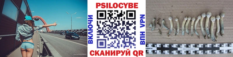 Галлюциногенные грибы MAGIC MUSHROOMS Купить Калининск